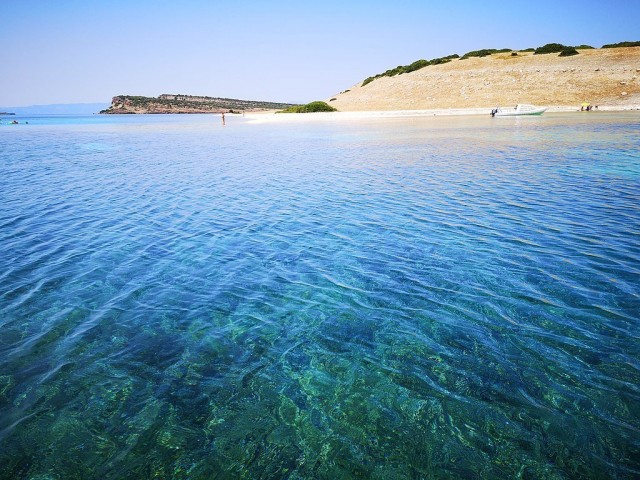 Mediterranean Turning into Tropical Sea, WWF Warns