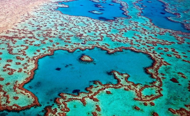 UNESCO Says Australia's Great Barrier Reef Isn't In Danger Yet. Many Environmentalists and Divers Disagree