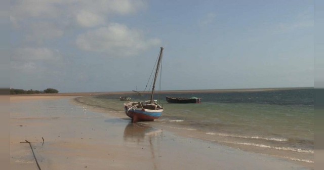 Mozambique's fish stock "near collapse" | Africanews