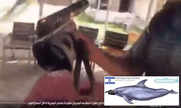 Hamas claims it has captured one of Israel's 'spying killer dolphins'