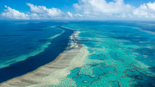 Australian government pumps cash into Great Barrier Reef protection