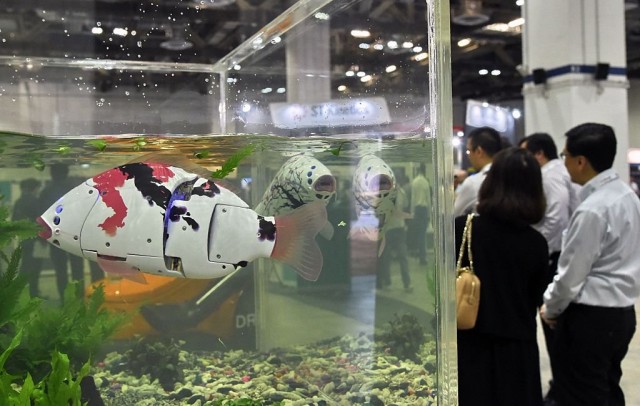 Robot Fish Can Help Save the Bodies of Water Globally