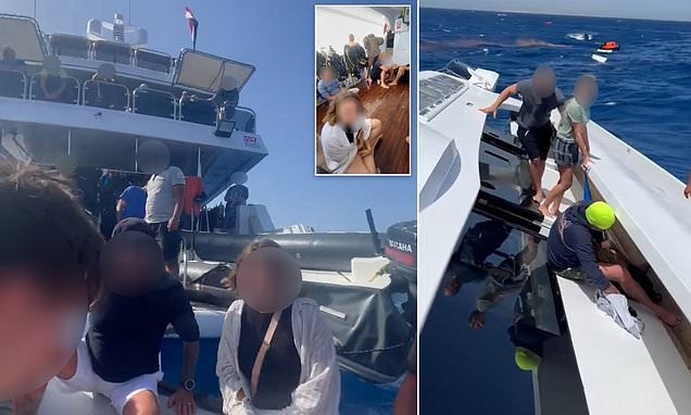 'I knew something was wrong when I saw fish swimming outside my window': British tourist describes how he survived terrifying capsize on 137ft holiday yacht