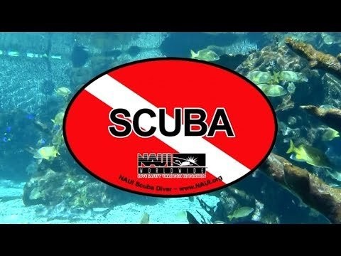 NAUI SCUBA DIVER COURSE - 1