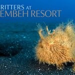 Job Opening for Photo Center Manager at Lembeh Resort