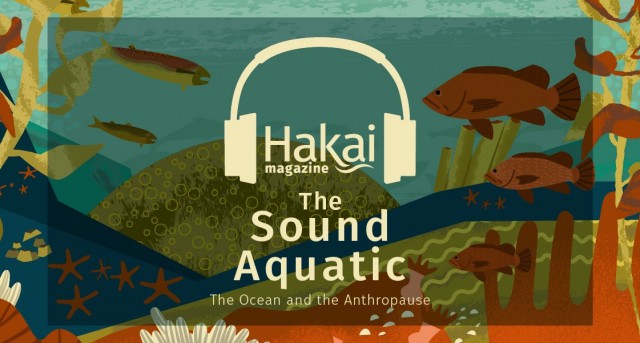 The Sound Aquatic | Hakai Magazine