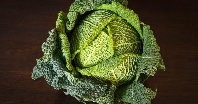 Scientists turn cabbage into construction material stronger than concrete