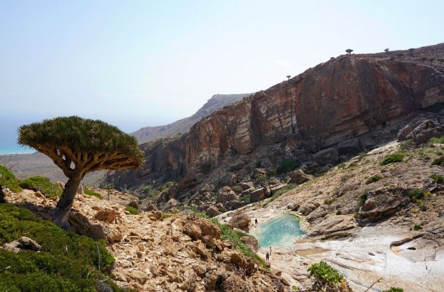 Yemen's unique 'dragon's blood' island under threat