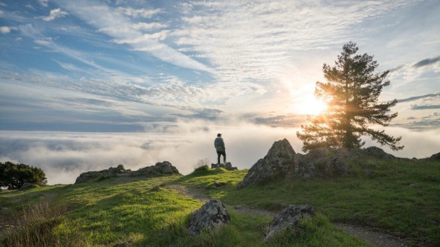 Escape the Bay Area Crowds With These 6 Coastal and Redwood Hikes