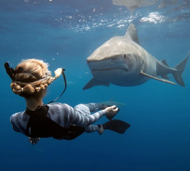 Ocean Ramsey On What To Do In a Shark Attack