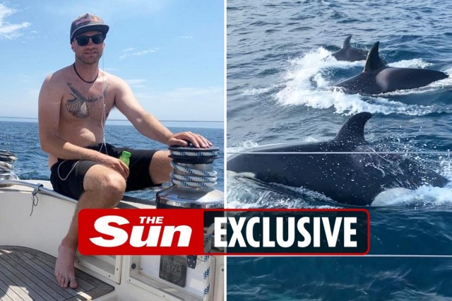 Brit crew of yacht feared for their lives as 30 killer whales attacked them