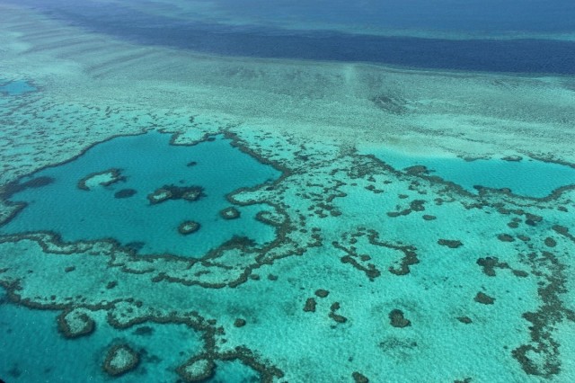 Barrier Reef outlook poor despite coral 'recovery' : scientists