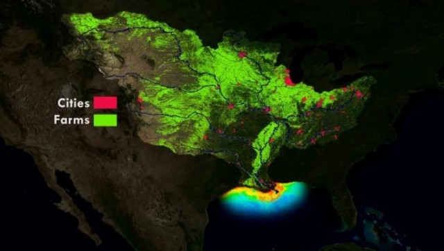 There's a 'dead zone' in the Gulf of Mexico this summer that's bigger than Connecticut