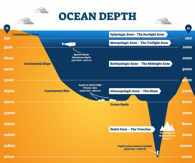 The Mariana Trench Is 7 Miles Deep: What’s Down There?