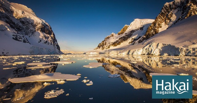 Kelp Rafts Are Bringing Invaders to Antarctica | Hakai Magazine