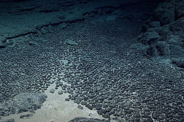 Race to start commercial deep sea mining puts ecosystems at risk