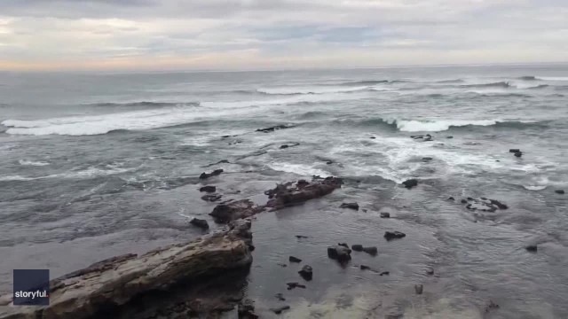 Receding Seawater Exposes Shore at San Diego Beach Amid Tsunami Warning