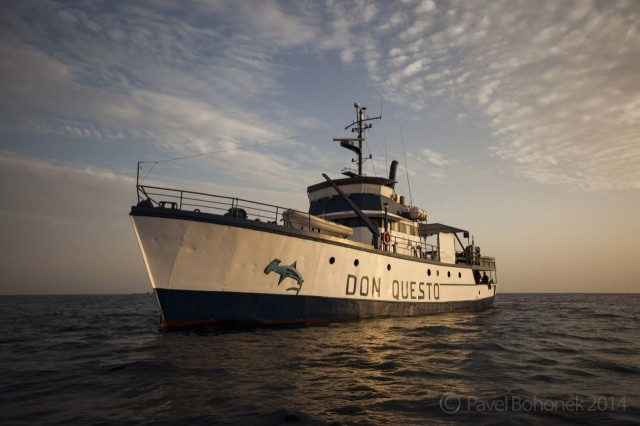 Meet the MV Don Questo, our research vessel for Sudan #OPREDSEA21