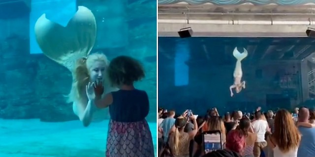 'They have not supported us': Mermaid performer speaks out against aquarium for alleged sexual harassment in viral TikToks