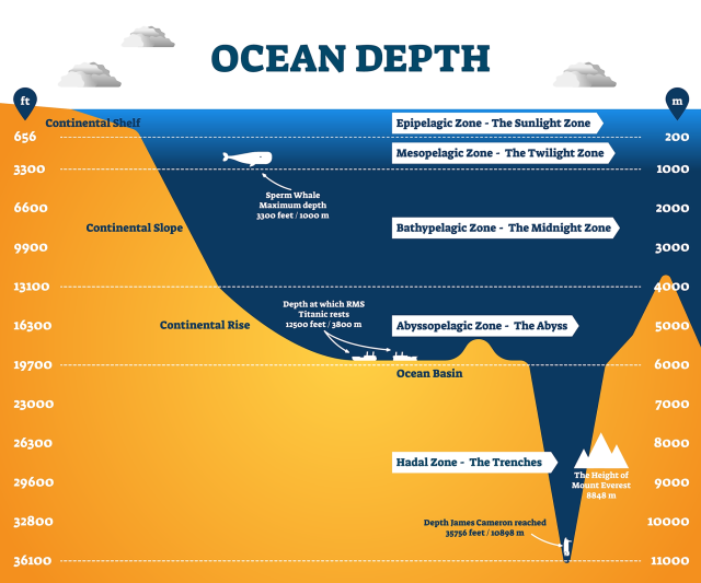 The 5 Different Layers Of The Ocean You Never Heard Of