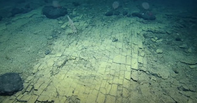 Scientists Spot Bizarre 'Yellow Brick Road' in Pacific Ocean