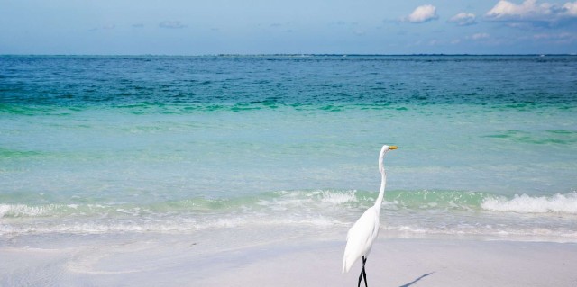 The 7 Best Islands in Florida