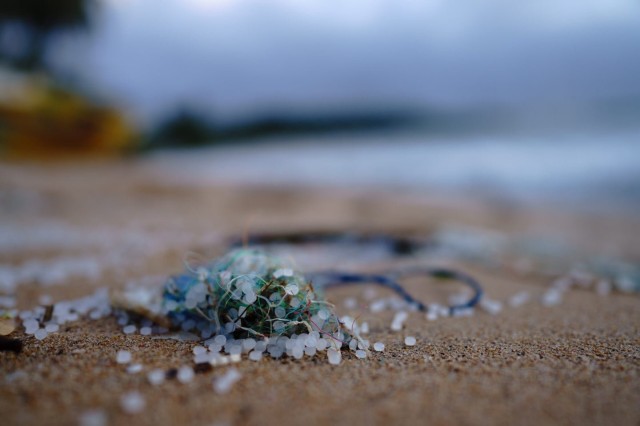 Horrific blobs of ‘plastitar’ are gunking up Atlantic beaches