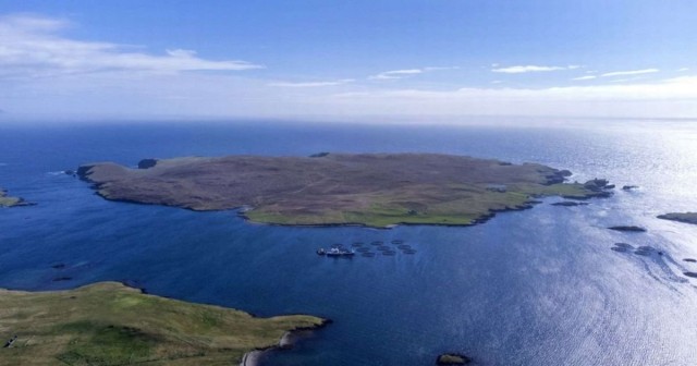 'Beautiful' UK island on sale for £1.75m with a castle, flock of sheep and a 42ft whale