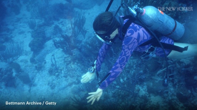 Without Sylvia Earle, We’d Be Living on Google Dirt