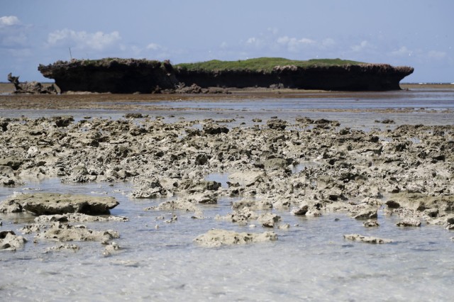 To combat coral bleaching, Kenya turns to reef nurseries