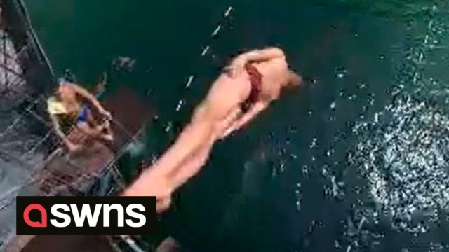 Talented teen diver makes a splash with an incredible 15m (50ft) dive from a springboard