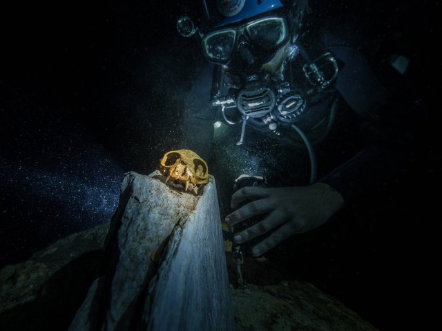 Below Madagascar, cave divers surface secrets of the past