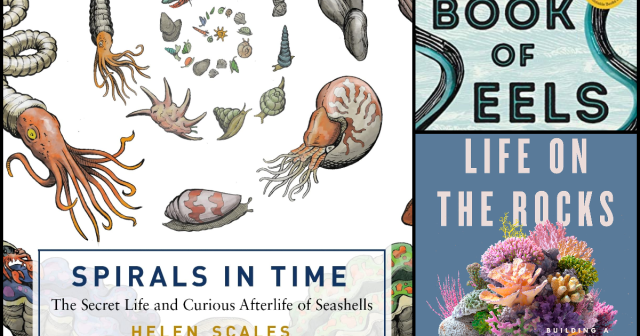 Five Marine Science Books for Scuba Divers