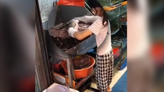 ‘She started gutting fish aged 3’: sublime knife skills of little Chinese girl, 9, stun seafood stall customers and millions online