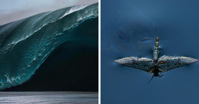 87 Terrifying Pics To Show Why The Fear Of Deep Water Is Real, As Shared On This Online Group (New Pics)
