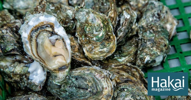 Farmer, the World May Not Be Your Oyster