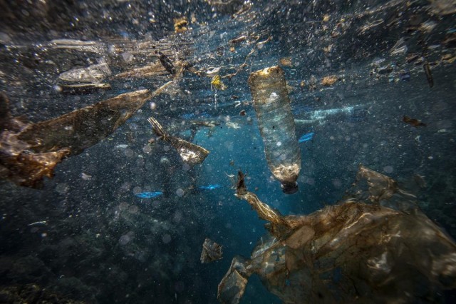 Nets, Plastic, Underwater Crime – How To Stop Ocean Pollution