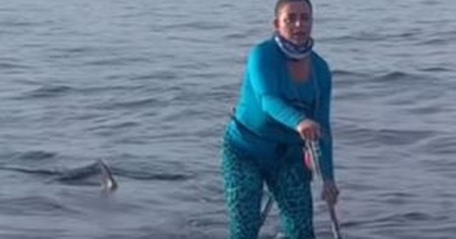 'Crazy' hammerhead shark stalks oblivious paddleboarder and sparks panic
