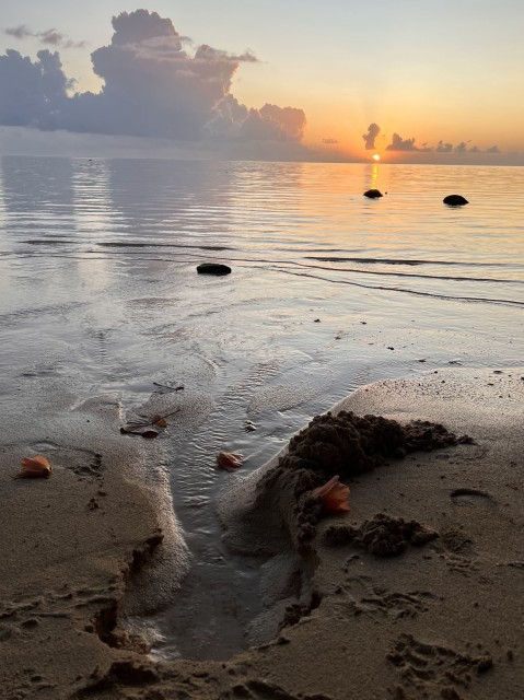 Groundwater flow can alter coral reef chemistry and trigger ecosystem-wide changes