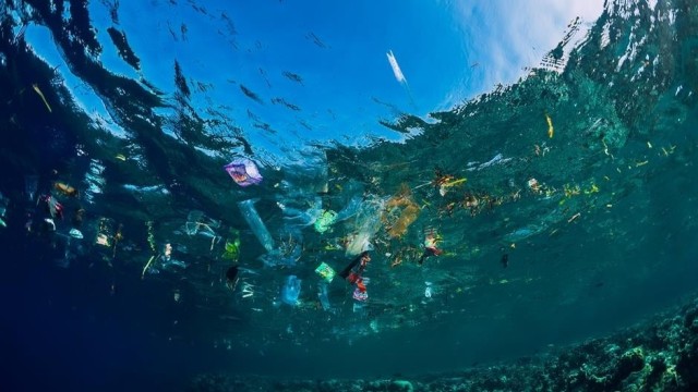 Nature Conservation: UNEP Report says Regional Policies Play Critical Role in Marine Ecosystems Protection | The Weather Channel - Articles from The Weather Channel | weather.com