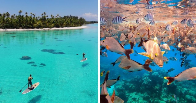 Rangiroa, Tahiti Is The World’s Largest ‘Natural’ Aquarium