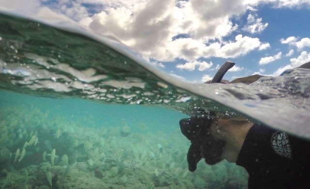 Snorkel Safety Study Sheds Light On Unexplained Drownings In Hawaii