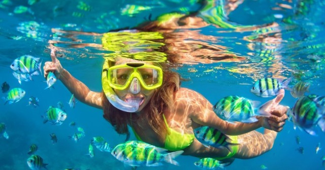 Tropical Snorkeling: Tips To Remember & What Not To Do