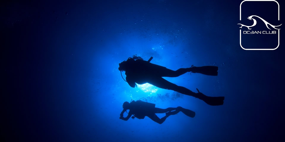 Night Diver in Coralscape