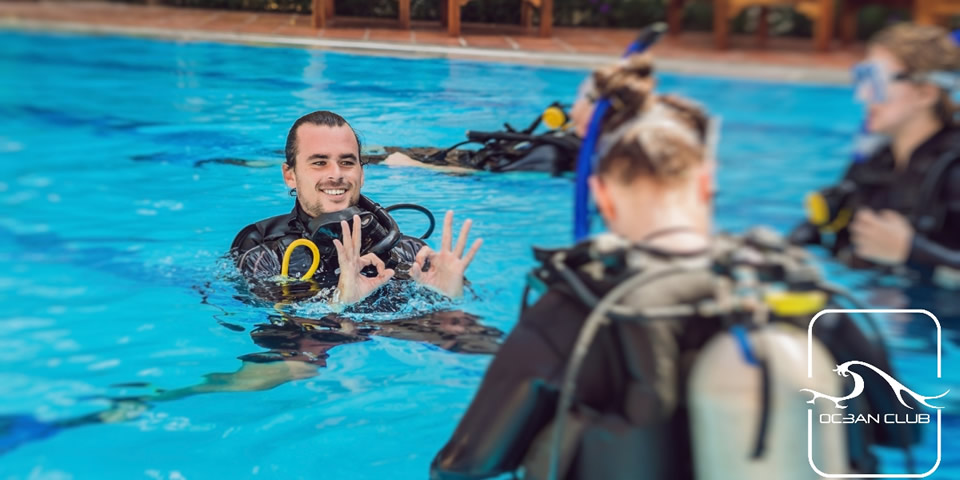 Instructor and Divers in a Pool